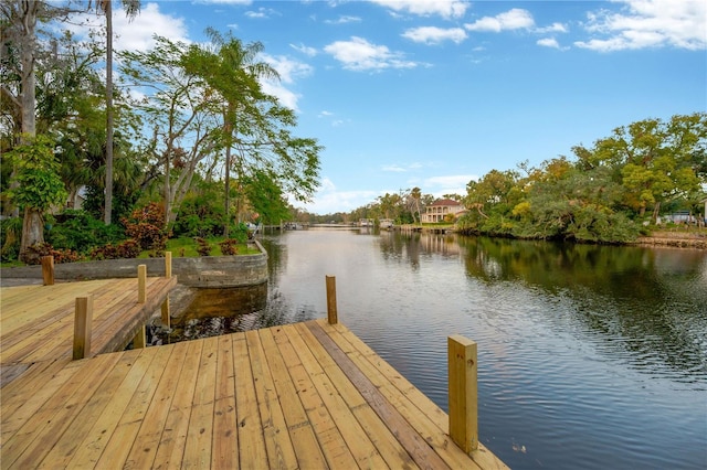 dock area with a water view