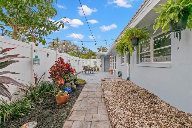 view of yard featuring a patio