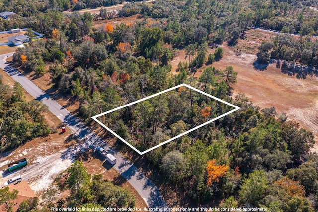 SW 158th Loop, Ocala FL, 34473 land for sale