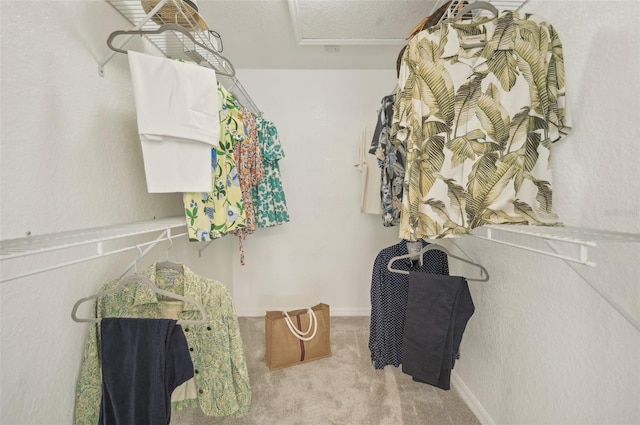 spacious closet featuring light carpet