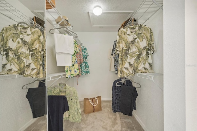 spacious closet featuring carpet floors