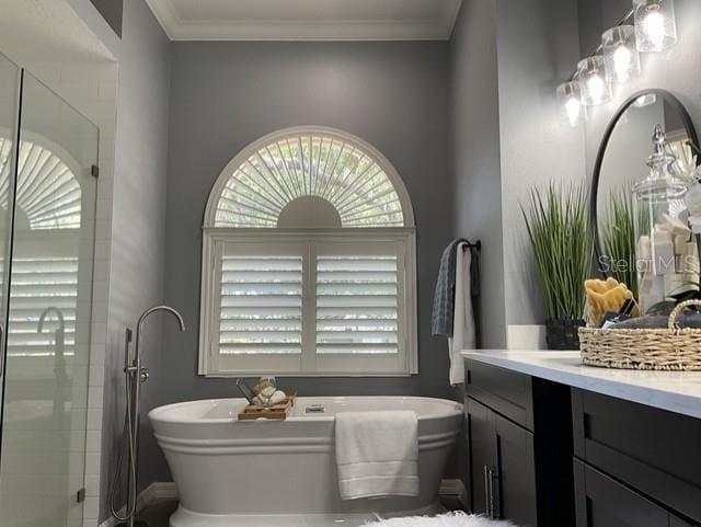 bathroom with a freestanding bath, a shower stall, and vanity