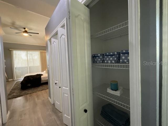 view of closet