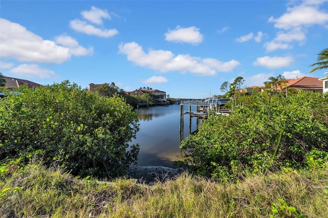 962 Symphony Isles Blvd, Apollo Beach, FL 33572 - photo 20