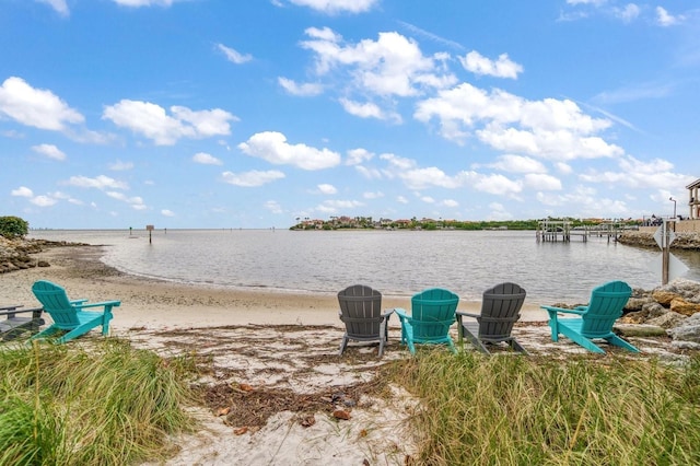 962 Symphony Isles Blvd, Apollo Beach, FL 33572 - photo 23