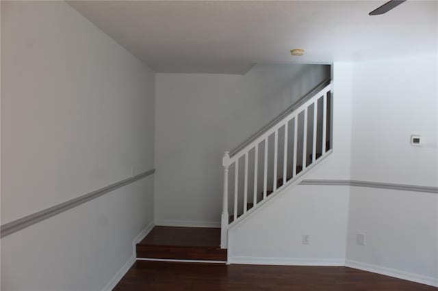 stairway featuring hardwood / wood-style floors