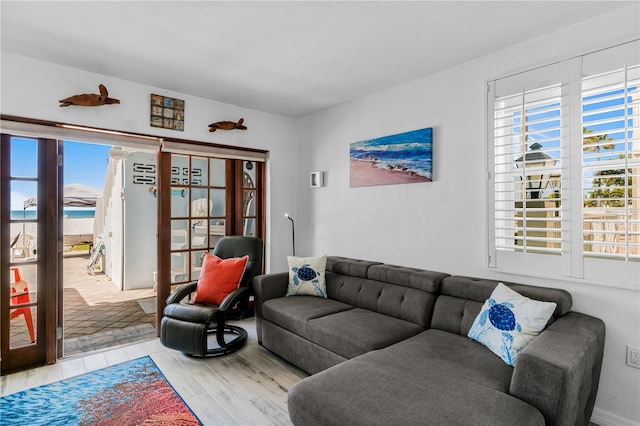 living room featuring light hardwood / wood-style flooring and a water view