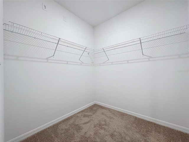 spacious closet with carpet