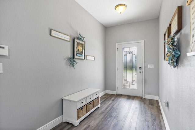 entrance foyer featuring dark hardwood / wood-style flooring