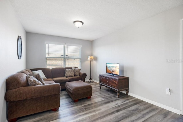 living room with wood-type flooring and a textured ceiling