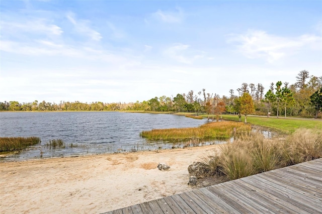 dock area with a water view