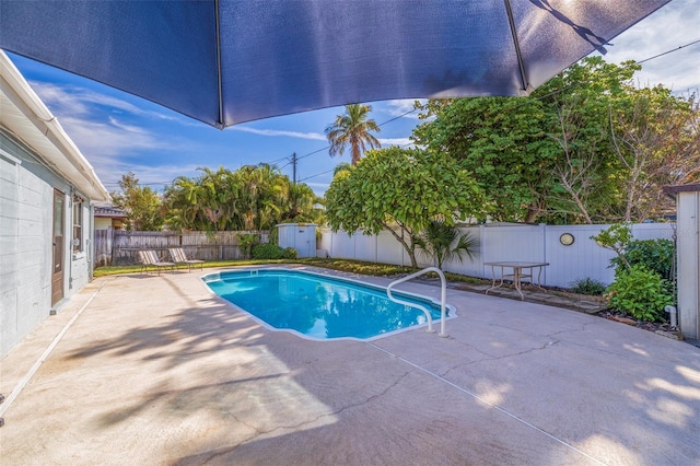 view of pool with a patio and a shed