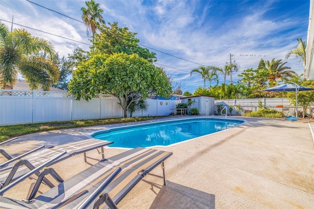 view of pool with a patio area and a shed