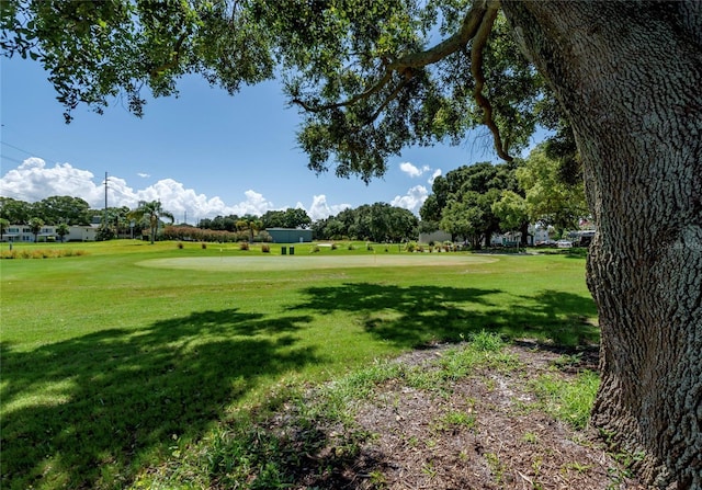 view of community featuring a yard