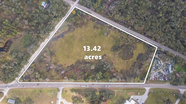 2050 Paul S Buchman Hwy, Zephyrhills, FL 33540 - photo 1