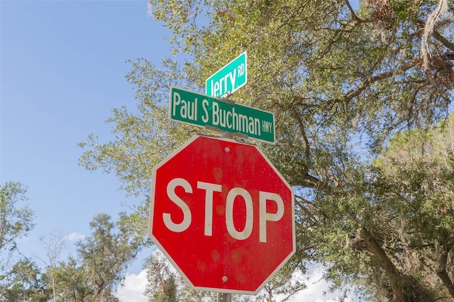 2050 Paul S Buchman Hwy, Zephyrhills, FL 33540 - photo 3