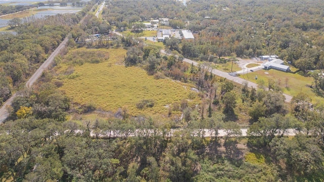2050 Paul S Buchman Hwy, Zephyrhills, FL 33540 - photo 7