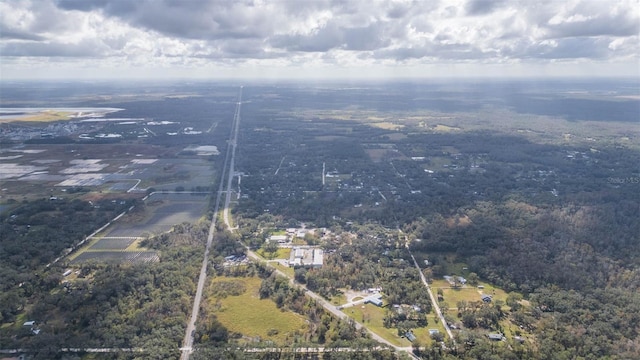 2050 Paul S Buchman Hwy, Zephyrhills, FL 33540 - photo 16