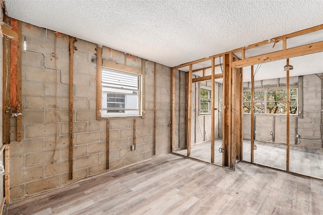 unfurnished room featuring a textured ceiling, light wood-type flooring, and a healthy amount of sunlight