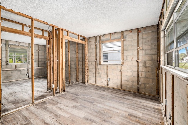 miscellaneous room featuring wood-type flooring, a textured ceiling, and plenty of natural light