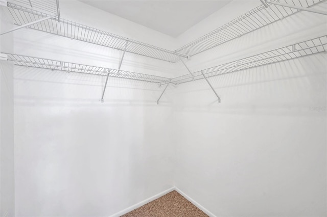 spacious closet with carpet flooring