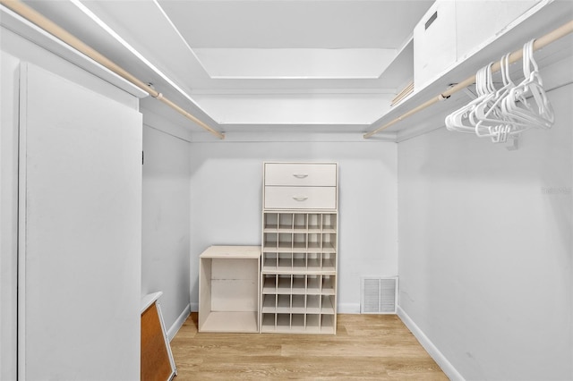 spacious closet with light wood-type flooring