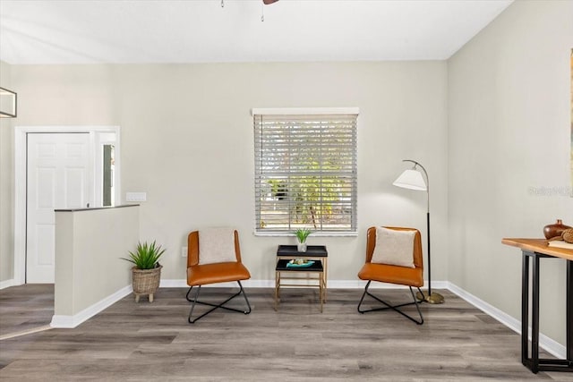 sitting room featuring light wood-type flooring