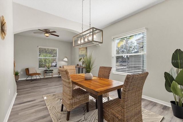 dining area with light hardwood / wood-style flooring and ceiling fan