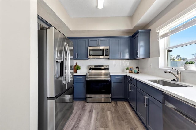 kitchen featuring blue cabinets, wood-type flooring, sink, and appliances with stainless steel finishes