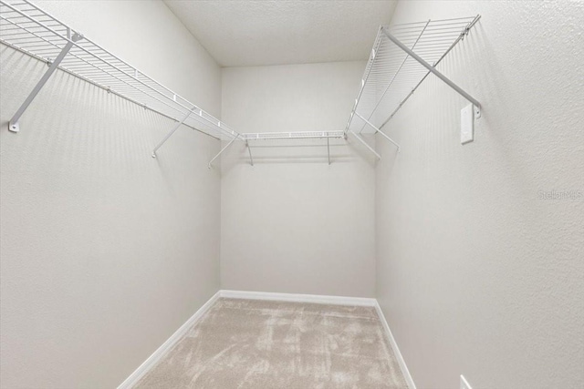 walk in closet featuring light colored carpet