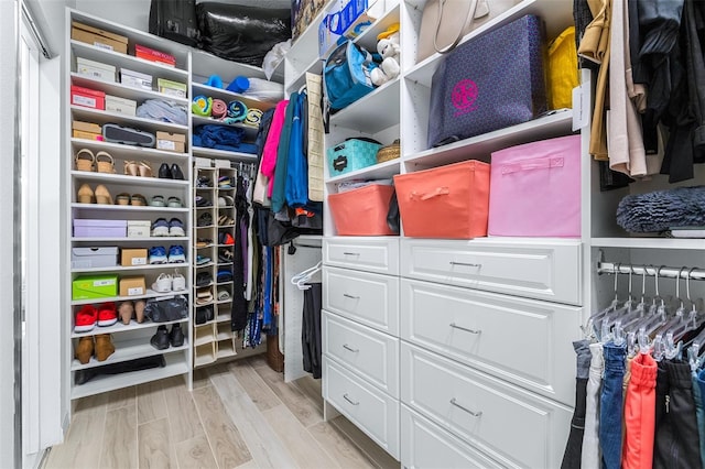 spacious closet featuring light hardwood / wood-style flooring