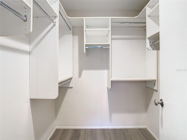 walk in closet with wood-type flooring