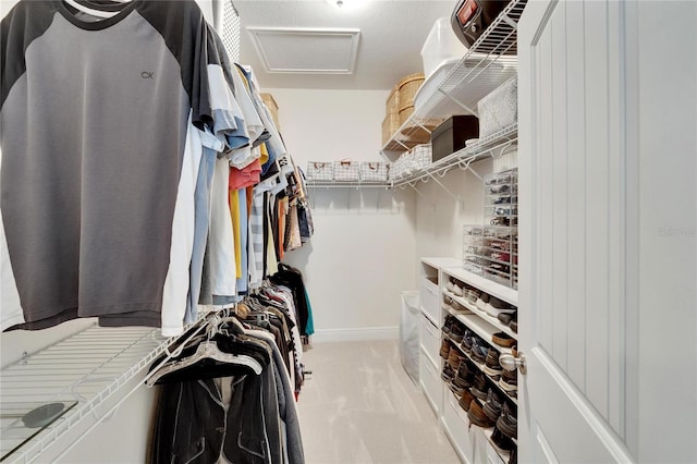 spacious closet featuring light colored carpet