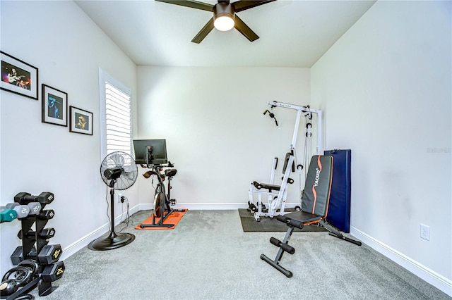 workout room featuring ceiling fan and carpet floors