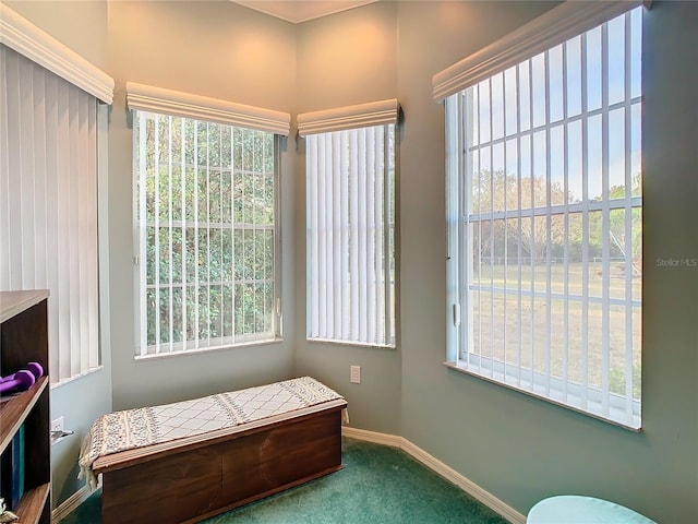 sitting room with plenty of natural light and carpet floors