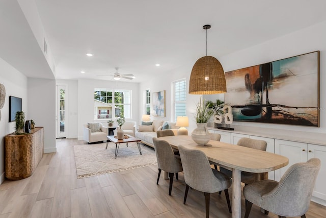 dining area with ceiling fan and light hardwood / wood-style flooring