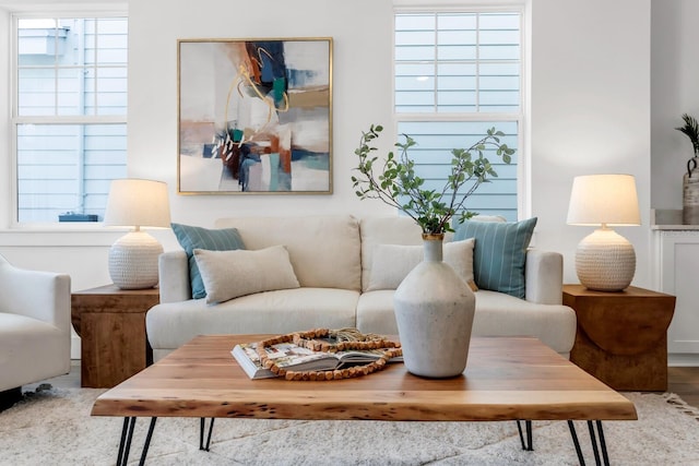 living room featuring hardwood / wood-style floors