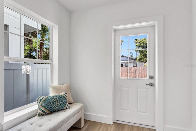 entryway featuring a healthy amount of sunlight and light hardwood / wood-style floors