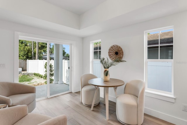 dining space featuring plenty of natural light and light wood-type flooring