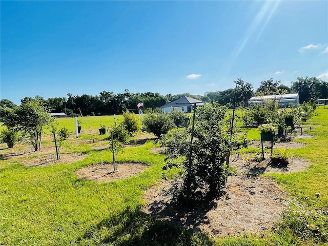 view of yard with a rural view