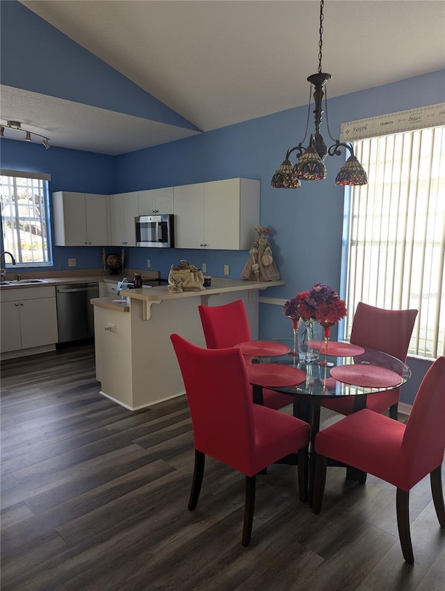 dining space featuring dark hardwood / wood-style floors, sink, a chandelier, and vaulted ceiling