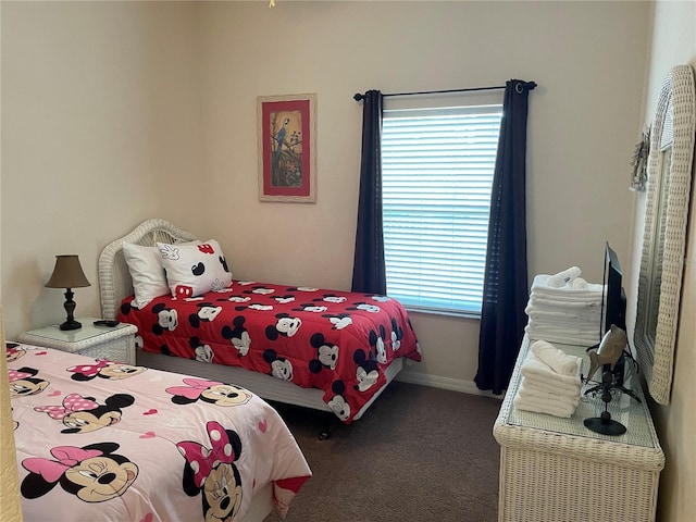 bedroom with carpet flooring