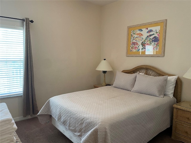 carpeted bedroom with multiple windows