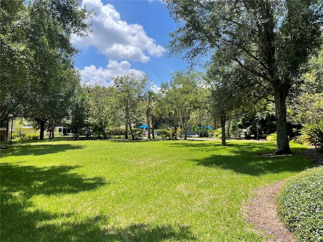 view of property's community featuring a yard