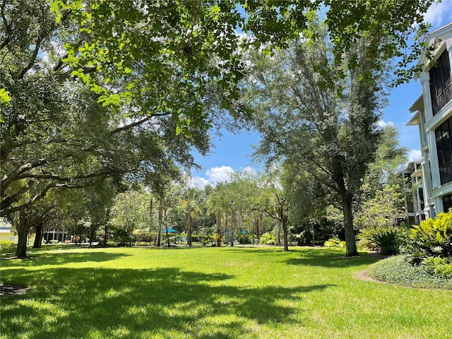 view of property's community with a lawn