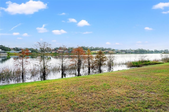 property view of water