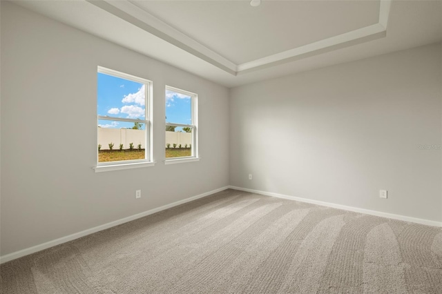 unfurnished room with a tray ceiling and carpet flooring