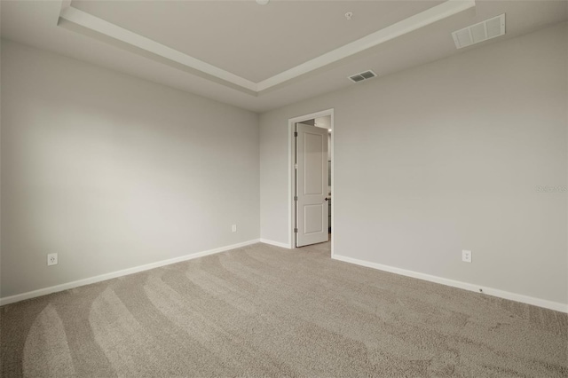 spare room with a raised ceiling and carpet