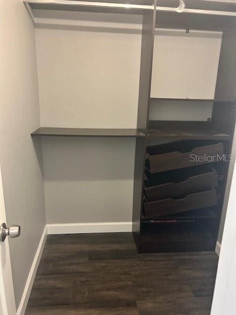 walk in closet featuring dark wood-type flooring