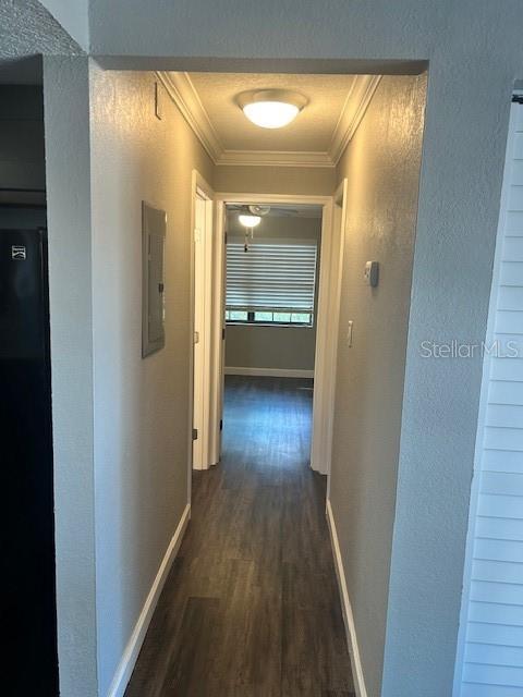 corridor featuring electric panel, dark hardwood / wood-style floors, and ornamental molding